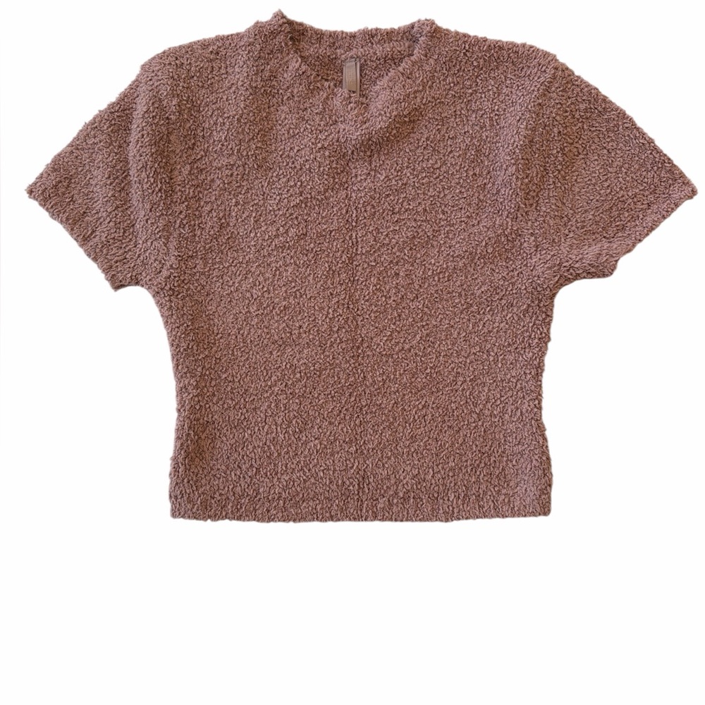 Skim Teddy Bear texture Cozy Crop Top Short Sleeve Women's Top in Warm Brown